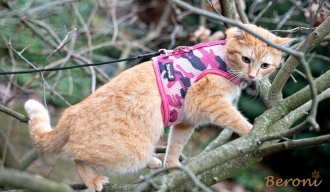 Cat Walking Jacket Beroni camouflage pink-rosa Katzengeschirr