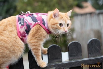 Cat Walking Jacket Beroni camouflage pink-rosa Katzengeschirr