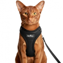 Beroni� Comfort Plus Harness reflektierend + ausbruchsicher mit Leine SETPREIS