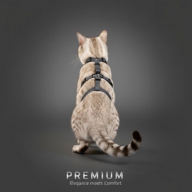 Beroni Master Safety Harness NEUENTWICKLUNG