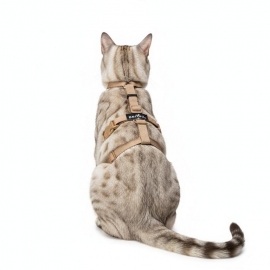 Beroni Master Safety Harness NEUENTWICKLUNG