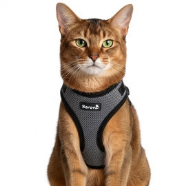 Easy Walking Katzengeschirr 2.0 ausbruchsicher nicht ber Kopf grau
