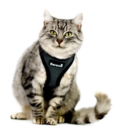 Easy Walking Katzengeschirr 2.0 ausbruchsicher nicht ber Kopf grau