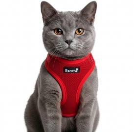 Easy Walking Katzengeschirr 2.0 ausbruchsicher nicht ber Kopf rot