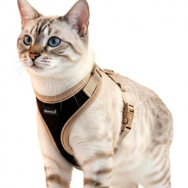 Easy Walking Katzengeschirr 2.0 ausbruchsicher nicht ber Kopf