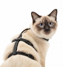 Panikgeschirr Sicherheitsgeschirr Safety Harness Pro AUSBRUCHSICHER